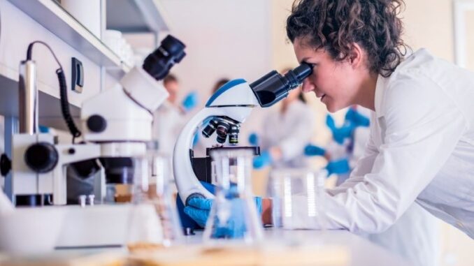 Freiwilliges Wissenschaftliches Jahr: Universitäre Forschung hautnah